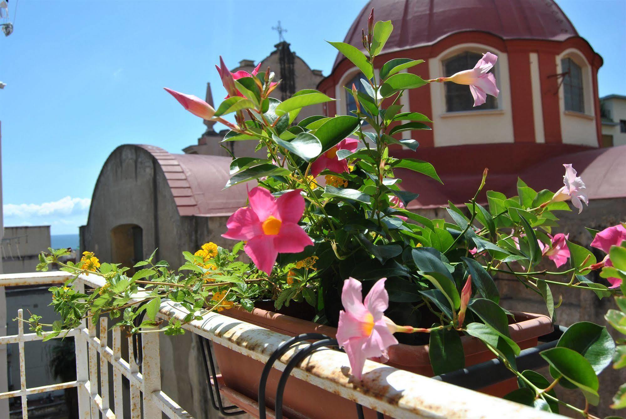 Bed & Breakfast Serenella Napoli